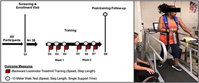 Serial Backward Locomotor Treadmill Training Improves Bidirectional Walking Performance in Chronic Stroke